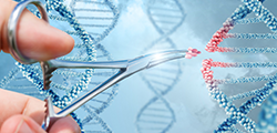 《DNA是主要的遗传物质》教材精析